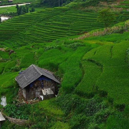 Freedom Homestay & Trekking Sapa Exteriér fotografie
