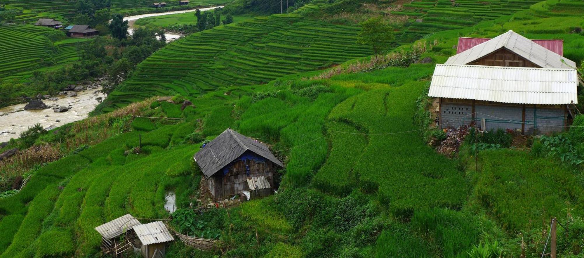 Freedom Homestay & Trekking Sapa Exteriér fotografie
