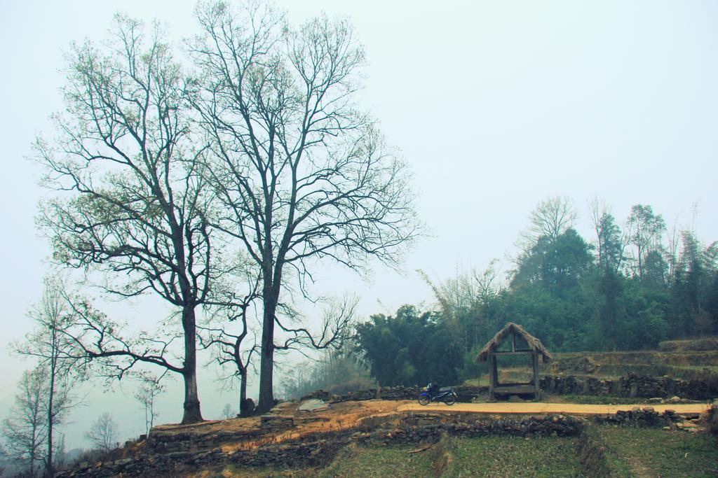 Freedom Homestay & Trekking Sapa Exteriér fotografie