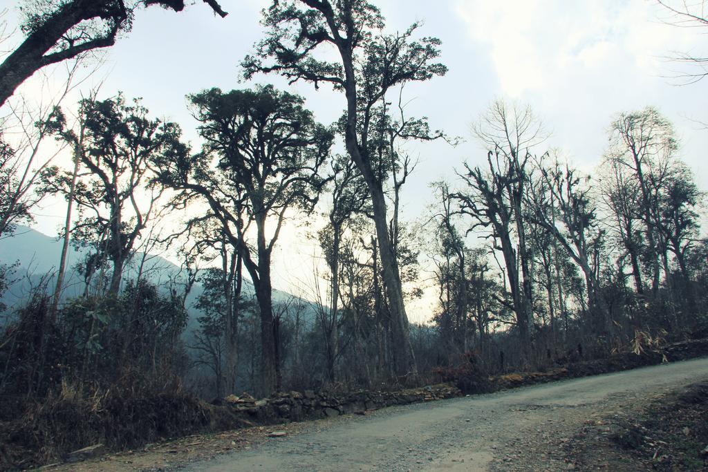 Freedom Homestay & Trekking Sapa Exteriér fotografie
